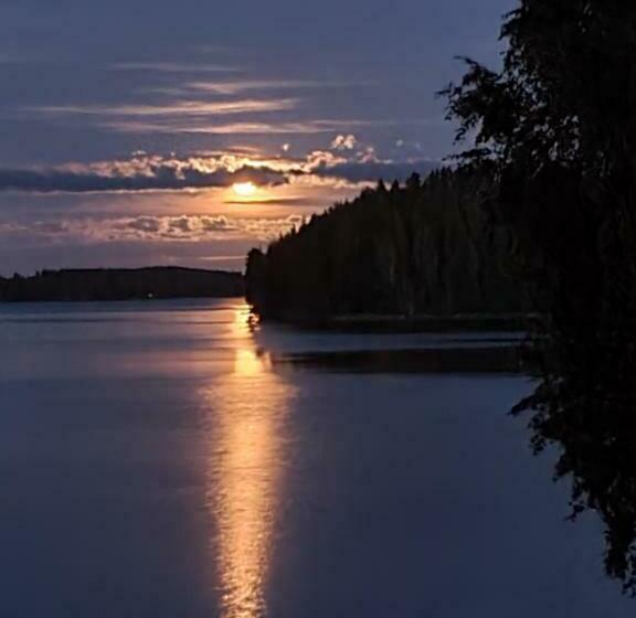 Stunning Log Cabin 45m2 On The Shore Of Kallavesi