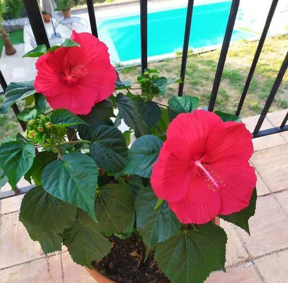 Superbe Haut De Villa Avec Vue Sur La Mer