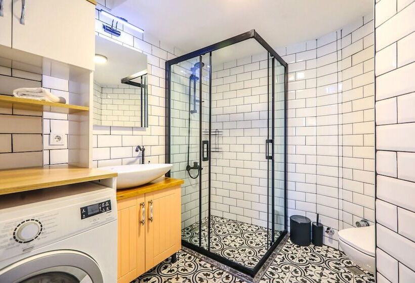 Vibrant Flat 500 M To Uskudar Ferry Station