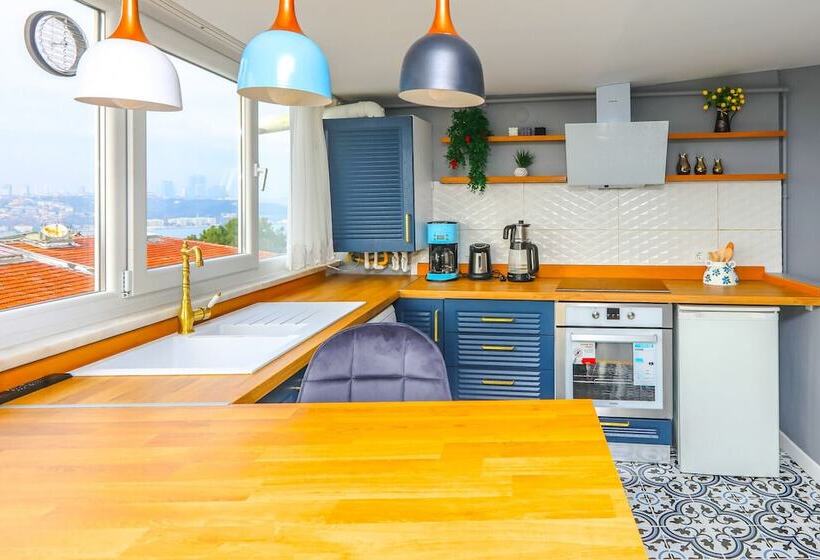 Vibrant Flat 500 M To Uskudar Ferry Station