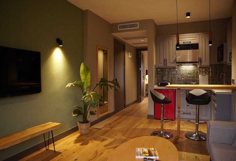 בית מלון כפרי Soas Suites