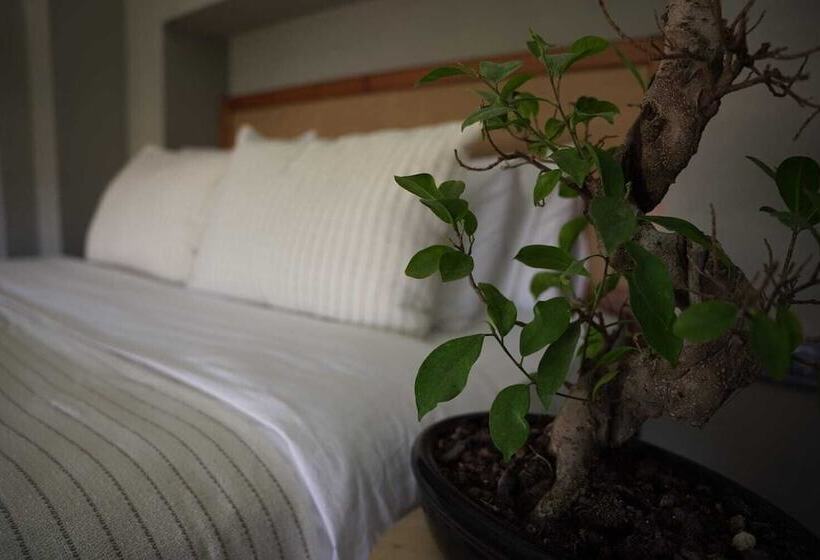 בית מלון כפרי Soas Suites