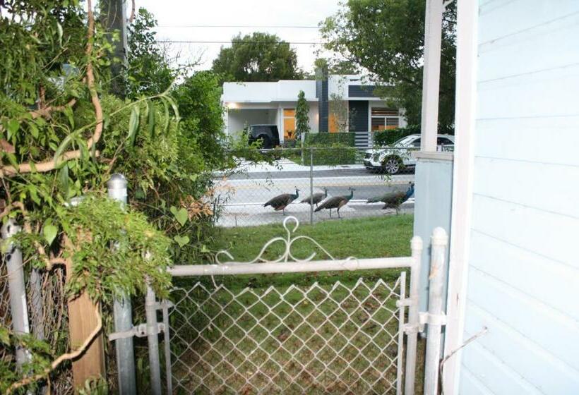Key West Style Historic Home In Coconut Grove Florida, The Blue House