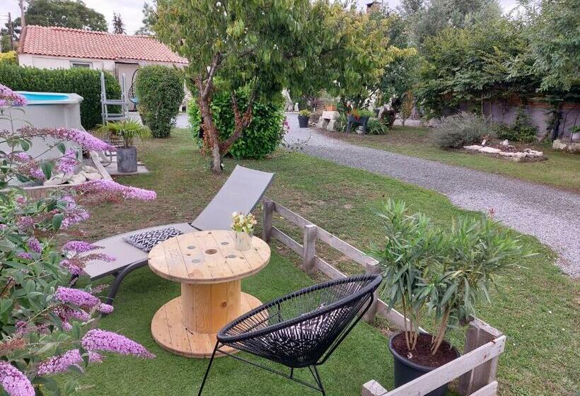 Les Belles Du Printemps