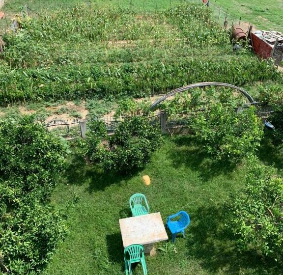 膳宿费 Agro Bnb Elbasan