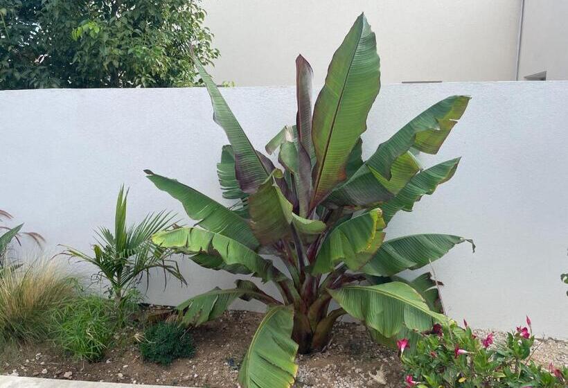 بنسيون Maison Lilomel