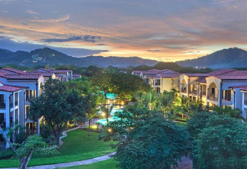 Penthouse Ocean View