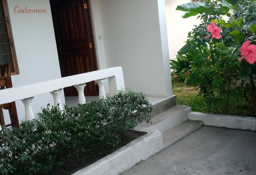 住宿加早餐 Kivulini Garden Lodge