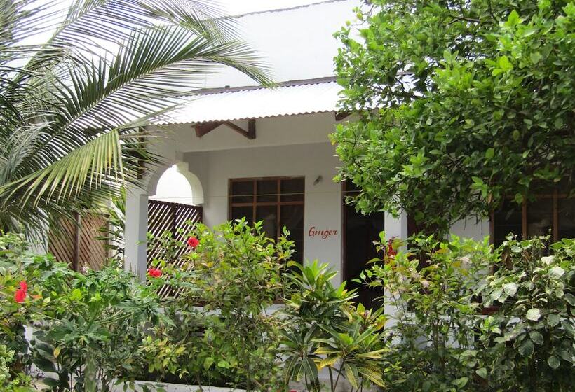 住宿加早餐 Kivulini Garden Lodge