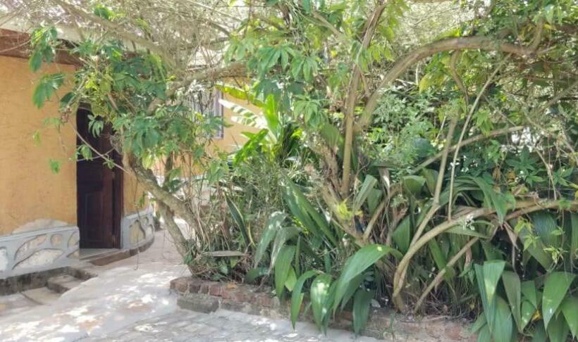 تختخواب و صبحانه Victoria Holiday Villas