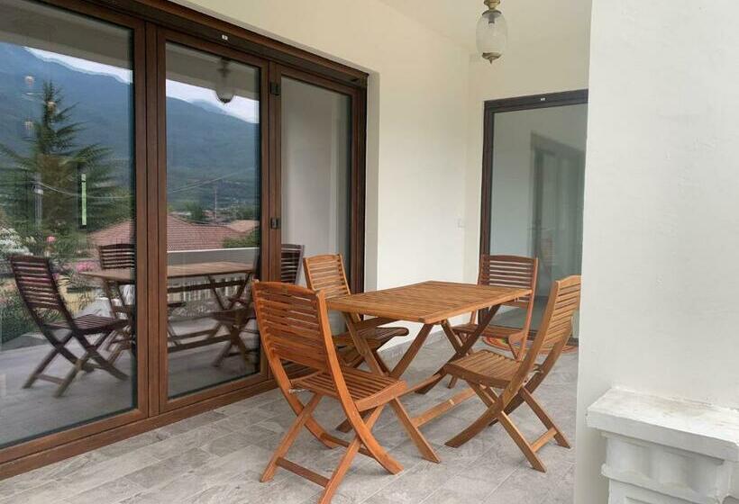 Big Appartement   9 Guests   Air Conditionning And Courtyard