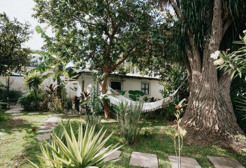 فندق Casa Amaranto