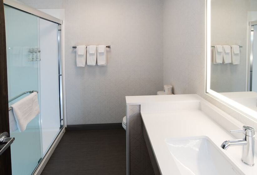 בית מלון כפרי Holiday Inn Express & Suites   Moose Jaw, An Ihg