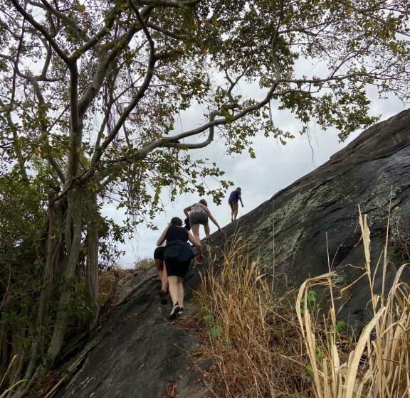 酒店 Moonshade Handapanagala