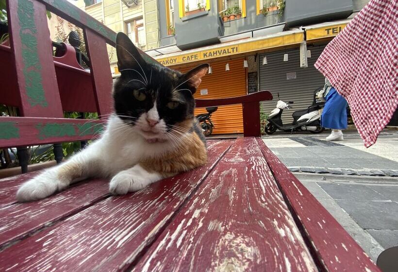 هتل çırağan S Omnia