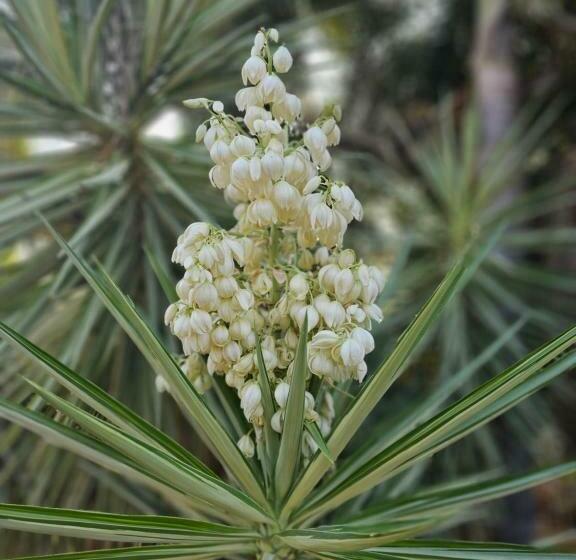 ペンション Almost Off Grid Tranquillity