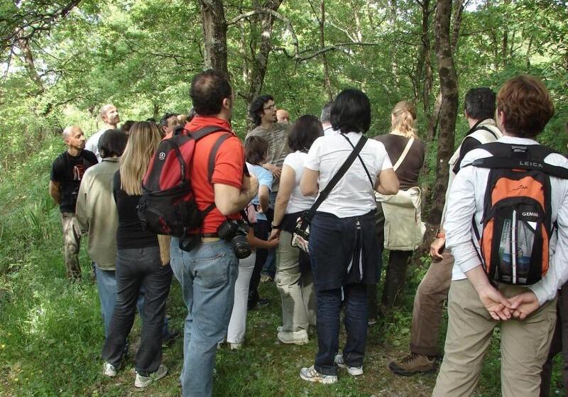 פנסיון Borgo Nuovo Housing