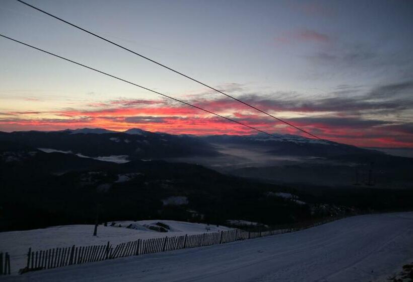 Пансион Coconea S Home