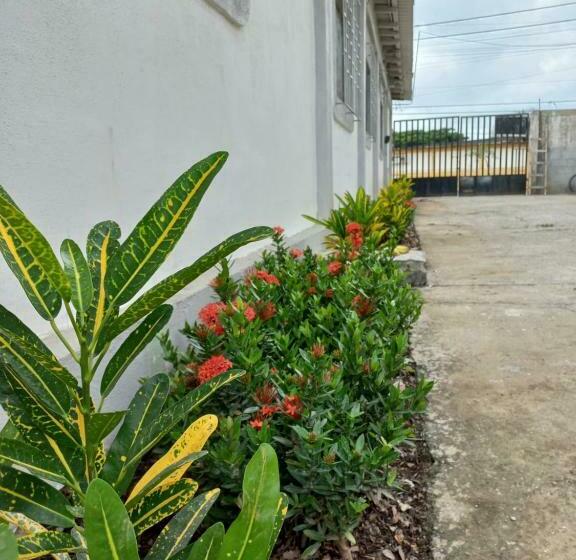 بنسيون Habitaciones Grupales