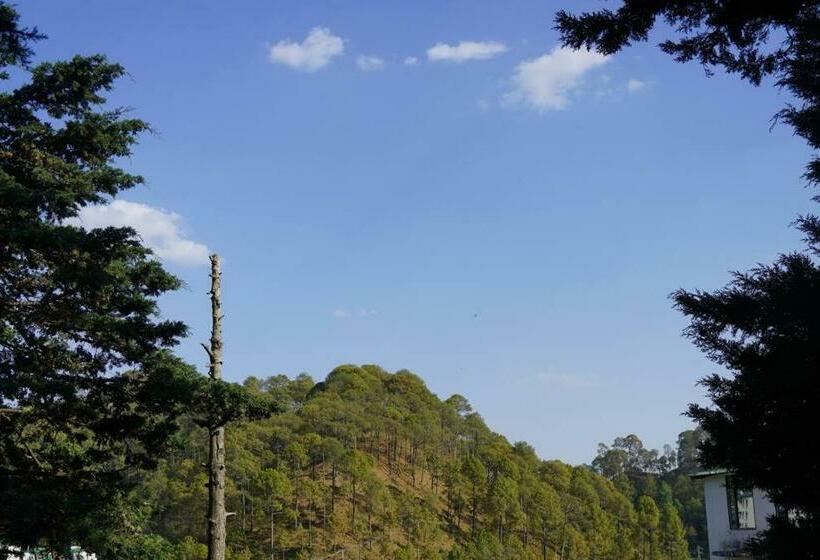 Spacious 2br Apt Perfect For Workation:wifi Inside