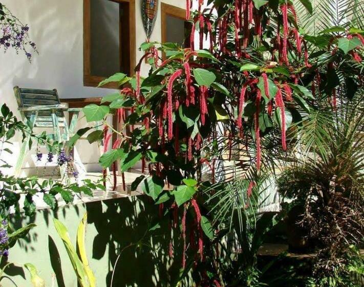 הוסטל Pousada Villa Da Gama