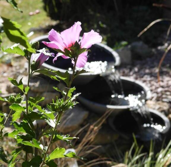 مبيت وإفطار La Suite Mélusine   Spa Du Souffle Du Saule