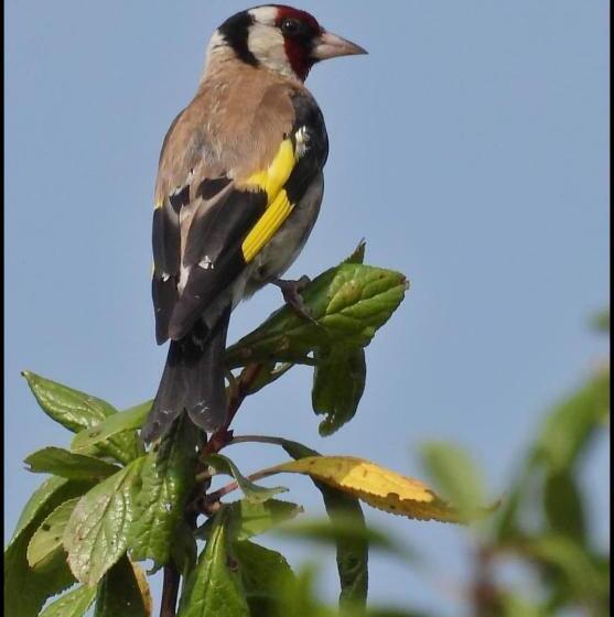 צימר La Suite Mélusine   Spa Du Souffle Du Saule
