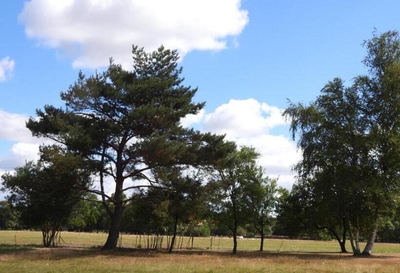 צימר La Suite Mélusine   Spa Du Souffle Du Saule
