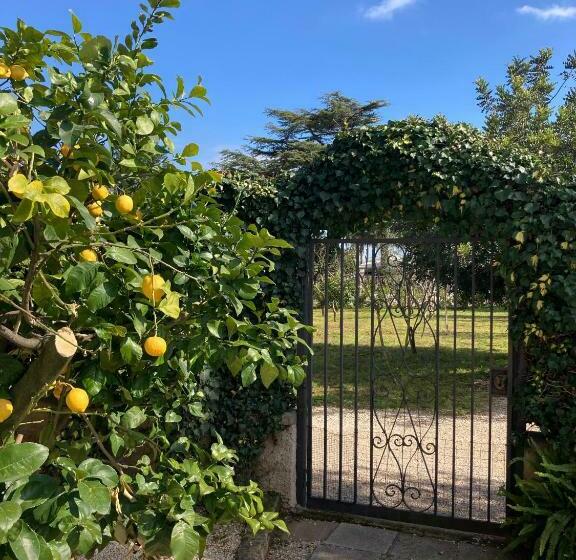 Casa Degli Ulivi   Alloggio Turistico