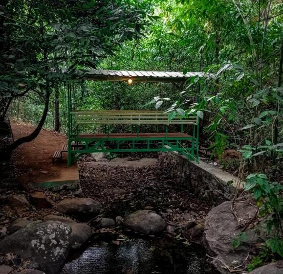 Forest And River Edge Resort