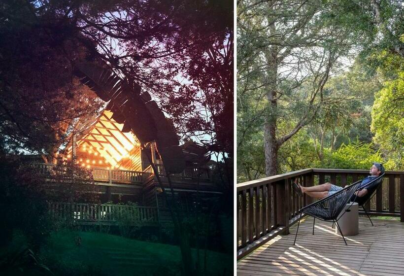 Forestchild Self Catering, The Crags