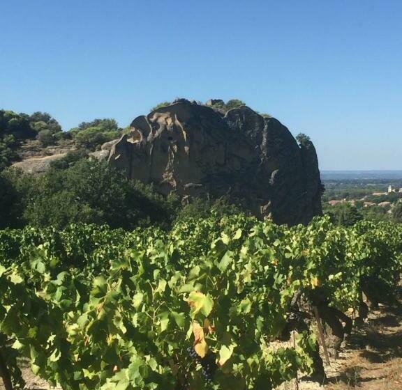 Gîte Lounao, Au Pied Des Dentelles De Montmirail