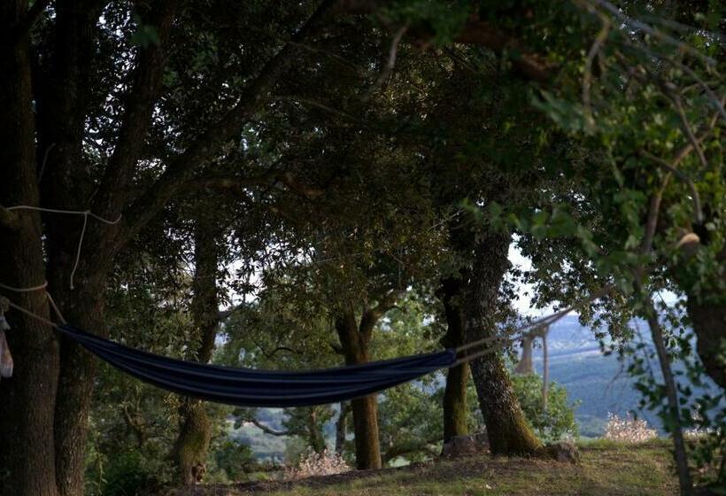 ホテル Agriturismo Cetamura