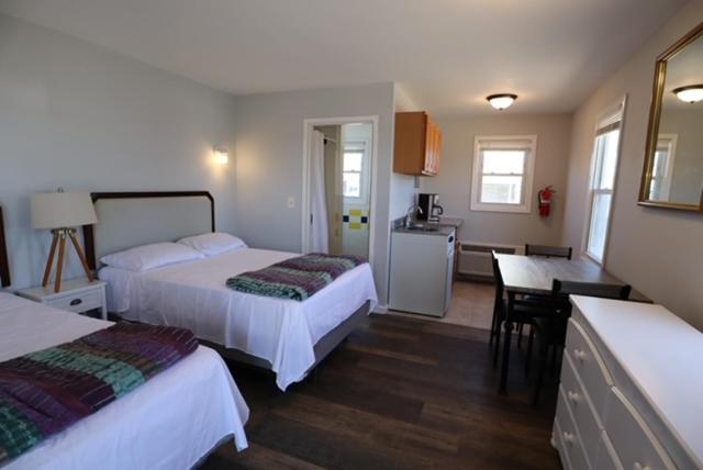 فندق The Metropole