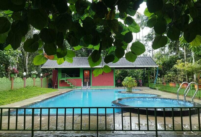 Отель Wayanadgreenpark Resort