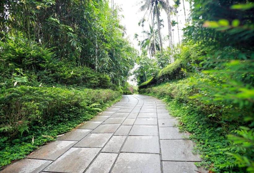 Отель Wayanadgreenpark Resort