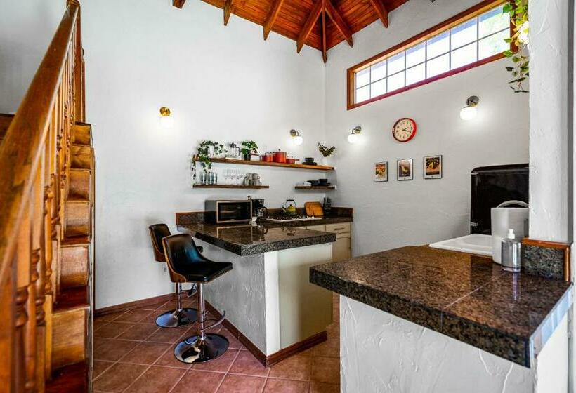 膳宿费 Dallas Oak Lawn Oasis W/ Private Pool, Hot Tub