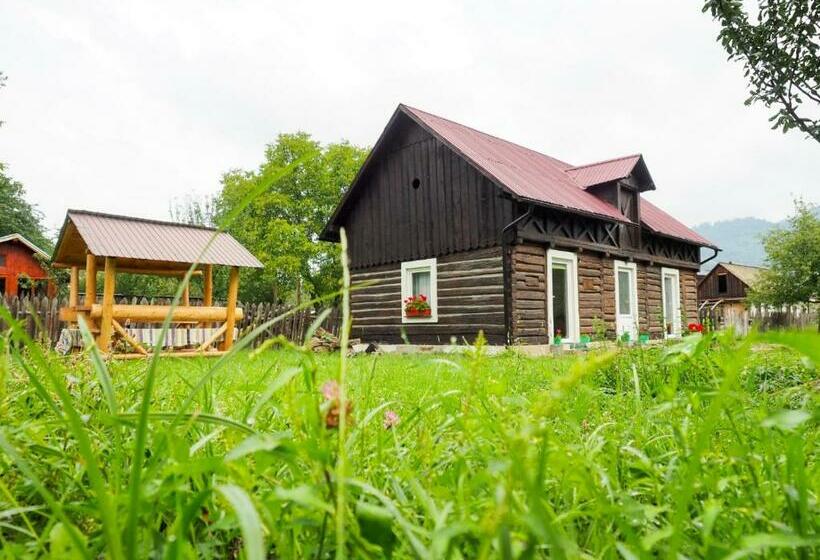 Пансион Wild Traditional Bucovina