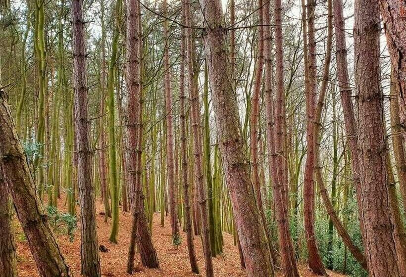 Sycamore Suite Is A Private Retreat With Log Fire