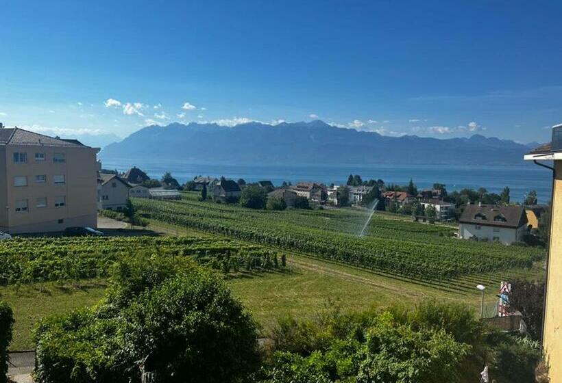 Appartement Cosy à Pully Avec Vue époustouflante