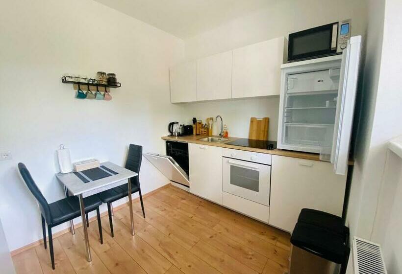 City Villa In Klagenfurt