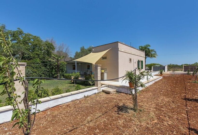 La Cornula By Barbarhouse