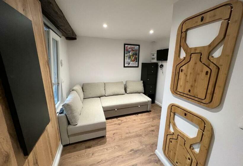 Le Coquet Hyper Centre Climatisé