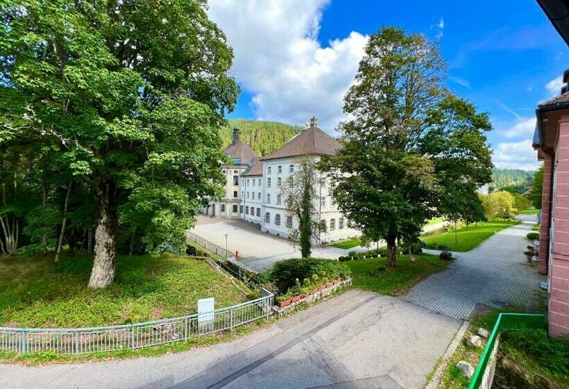 Traumhafte Luxuriöse Ferienwohnungen Im Wunderschönen St. Blasien