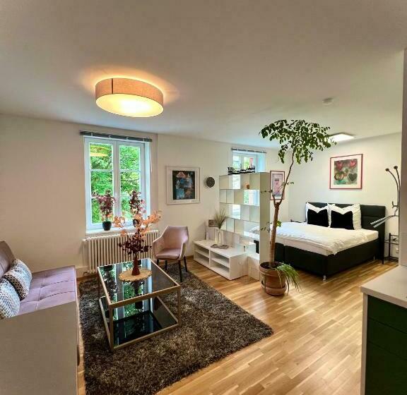 Traumhafte Luxuriöse Ferienwohnungen Im Wunderschönen St. Blasien