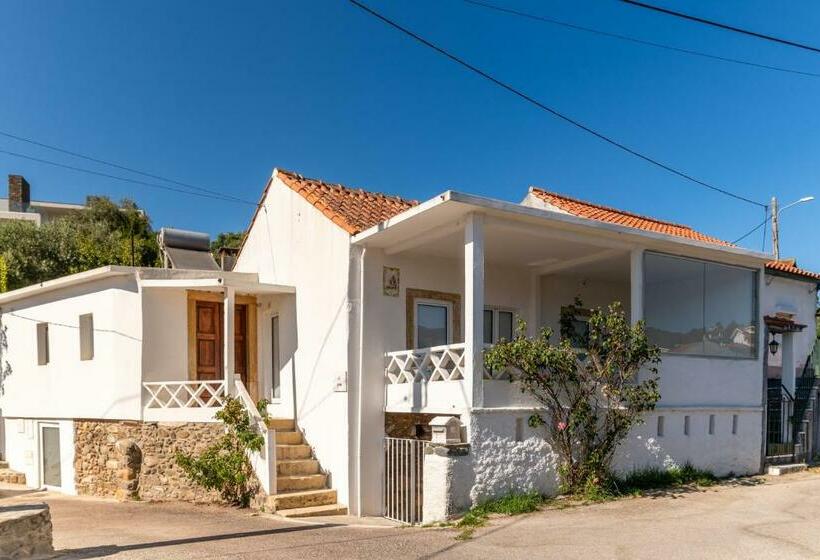 Casa Das Rosas Roses House