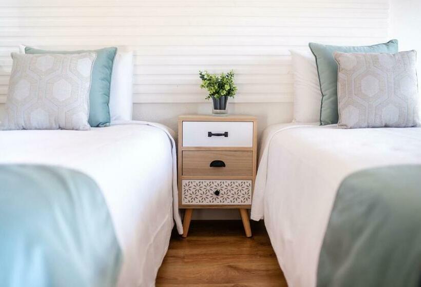 Casa Das Rosas Roses House