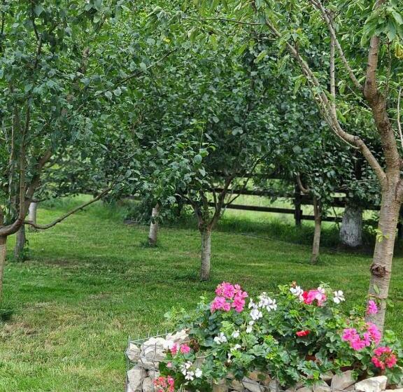 Căsuța Dintre Brazi