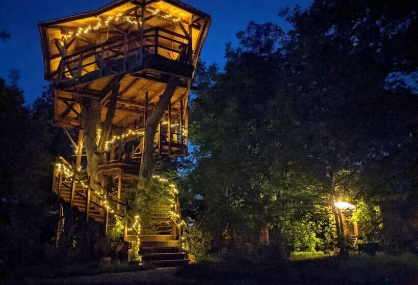 Jungle Wagon   Ecovillage Hainburg