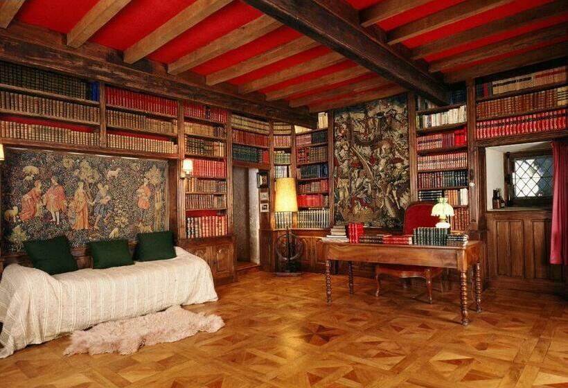 Medieval Castle In Condom   Gers / Gascony